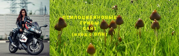 бутират Волосово